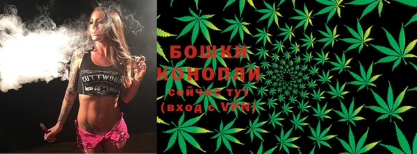 гашик Вязьма