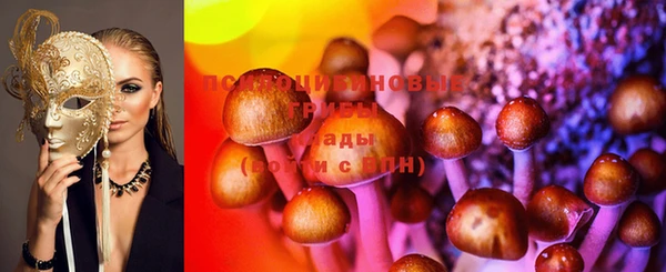 прущая мука Вязники