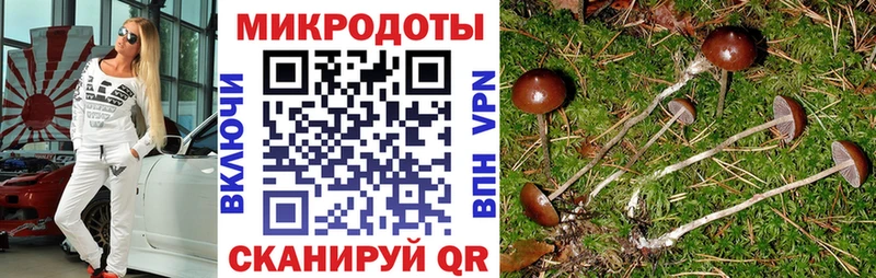 Псилоцибиновые грибы мухоморы  Меленки 